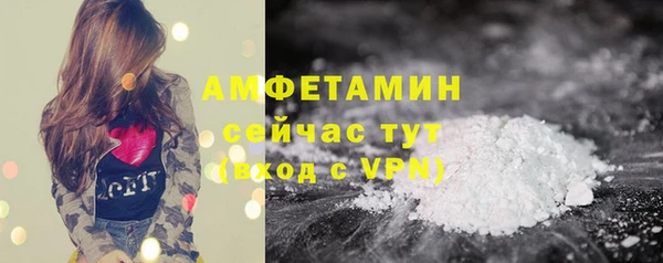 шишки Абинск