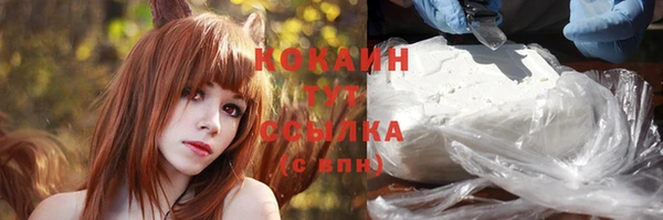 шишки Абинск