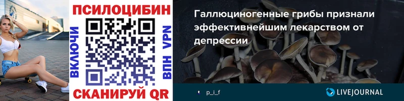 Галлюциногенные грибы Cubensis Тихорецк